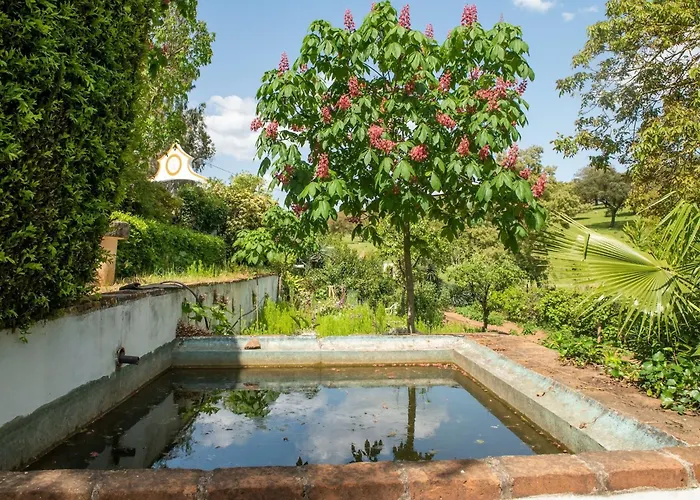 Farmhouse In Montemor Near Evora